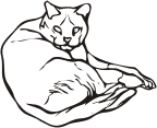 Katze