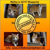 Malfoy vermittelt