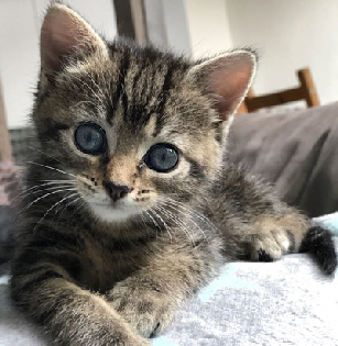 Betty