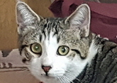 Bimba1a
