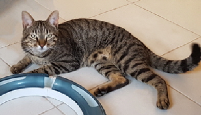 Boris3