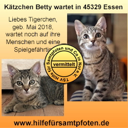 Collage Betty vermittelt