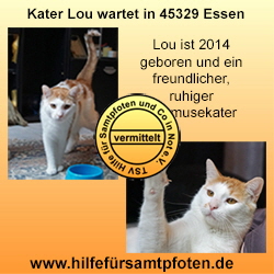 Lou Collage vermittelt1